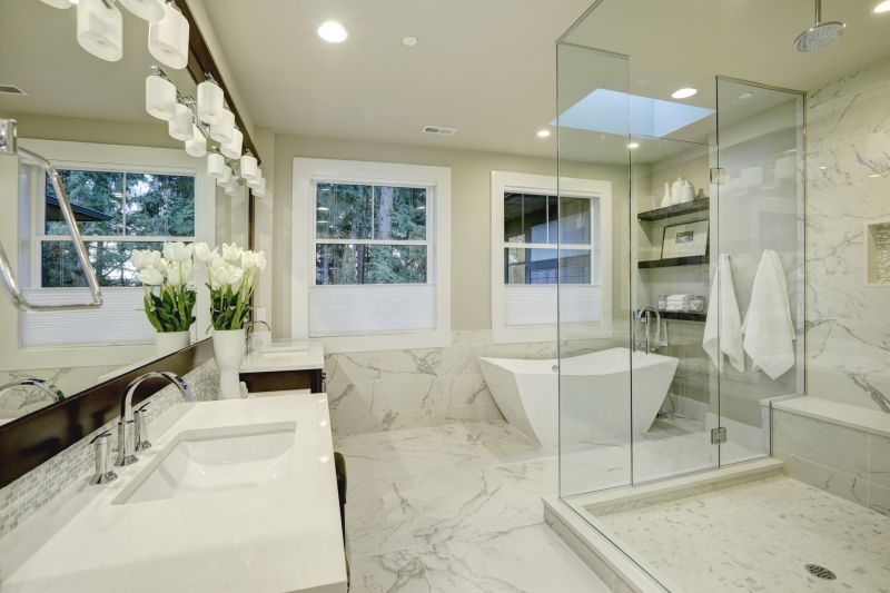 Elegant Shower and Vanity Setup